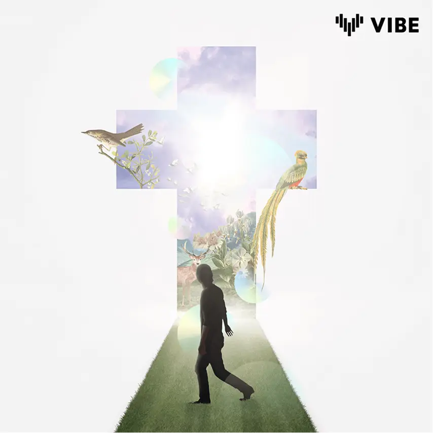 vibe_21