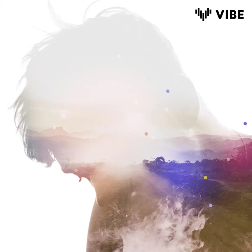 vibe_29